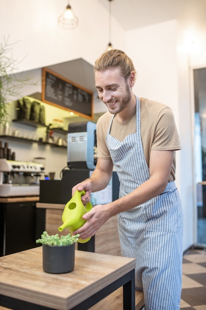 Bonne humeur. Joyeux jeune homme barbu attrayant en tshirt et tablier d'arrosage des plantes d'intérieur sur la table au café