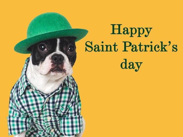 Bonne journée de Saint-Patrick, mignon chiot.