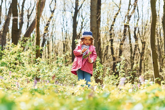 Bonne petite fille au chapeau bleu se promener dans la forêt de printemps pendant la journée