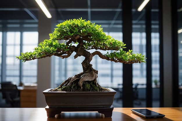 Photo les bonsaïs dans un bureau moderne