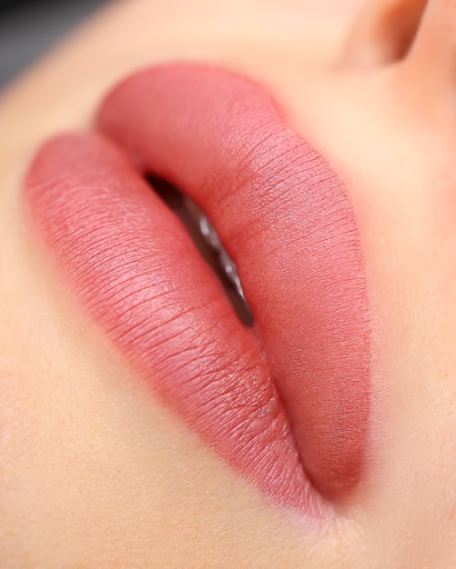 Le bord gauche des lèvres rouges des filles qui sort doucement du focus Le maquillage permanent est appliqué