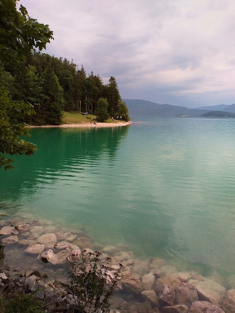 Bord de lac dans la forêt