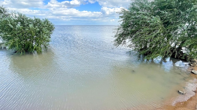 bord de lac, hautes eaux, arbre inondé