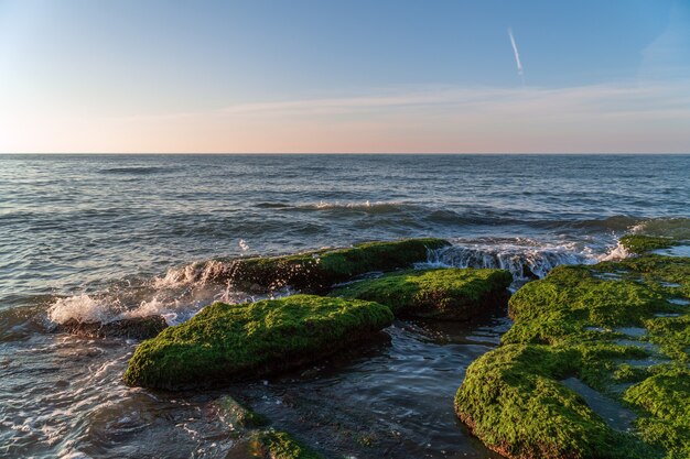 Photo bord de mer coloré avec des algues vertes, éclaboussures de vagues