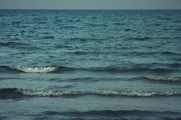 Bord de mer en été