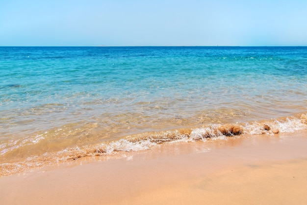 Bord de mer par une journée ensoleillée