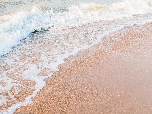 Bord de mer sablonneux et vague mousseuse