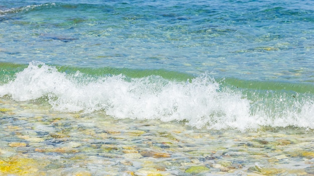 Bord de mer avec vague de mer avec mousse