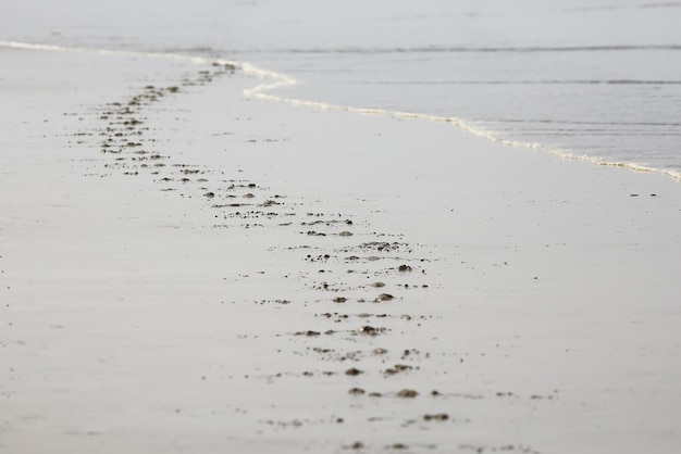 bord de mer vagues piste sable