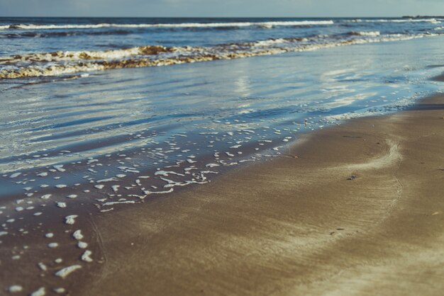 Bord de mer avec des vagues