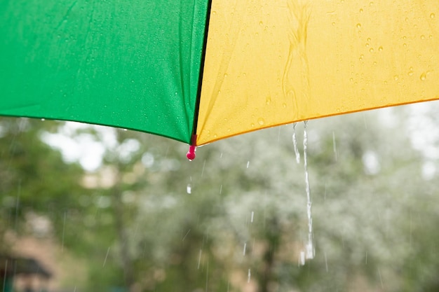 Le bord d'un parapluie coloré et de gouttes de pluie