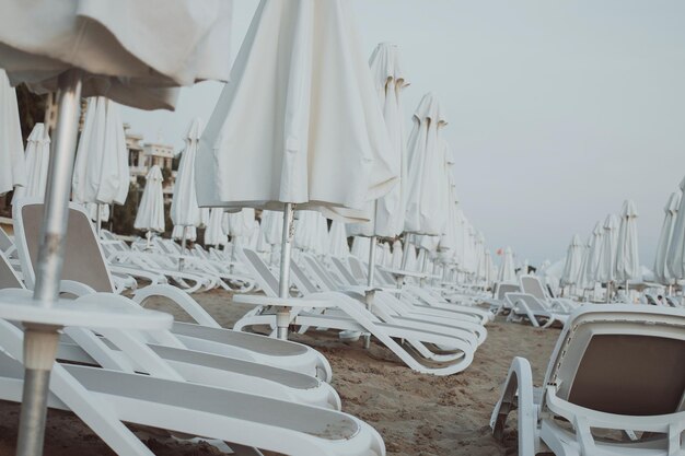 Le bord Piscine de luxe avec transats blancs à la mode sur la plage