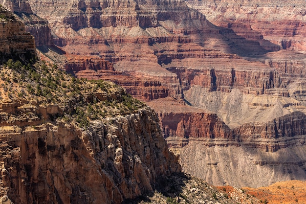 Bord sud du Grand Canyon