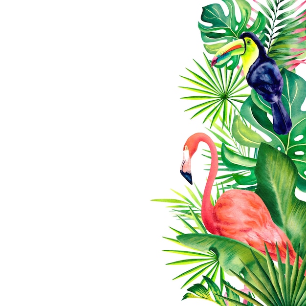 Border d'aquarelle un cadre de feuilles tropicales strelitzia fleurs plumeria flamants roses et oiseaux de toucan arc-en-ciel Plantes et oiseau tropicaux peints à la main modèle Clipart pour une carte postale