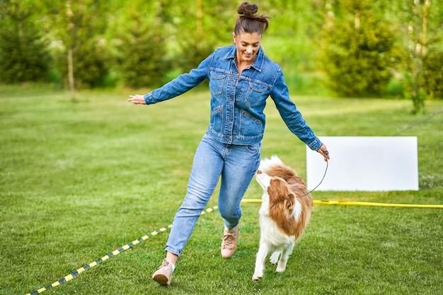 Border Collie blanc chocolat avec femme propriétaire