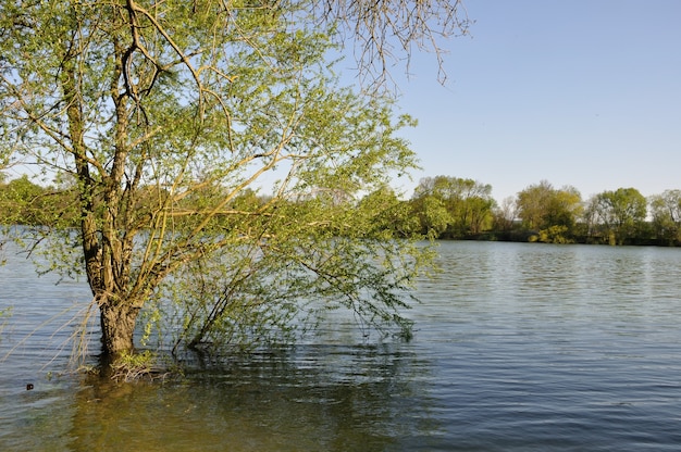 Bords de Seine à Elbeuf en Normandie