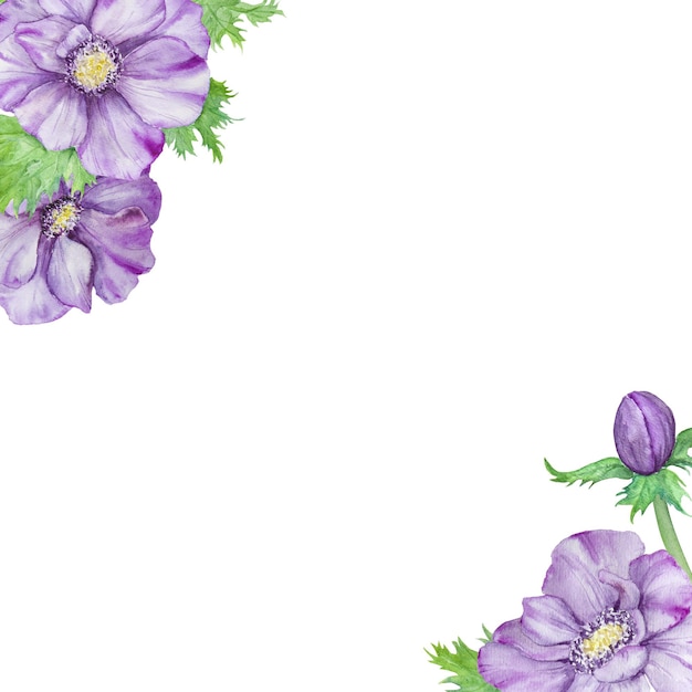 Bordure aquarelle dessinée à la main d'anémones violettes avec des feuilles vertes Composition de printemps pour les cartes de voeux d'invitations de mariage