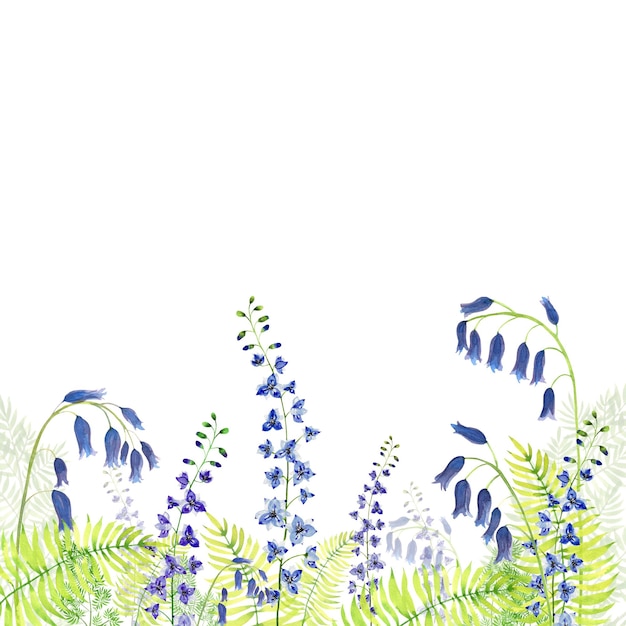 Bordure aquarelle peinte à la main avec fougères jacinthes et delphinium