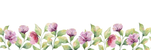 Bordure aquarelle transparente avec de grandes fleurs violettes et feuilles sur fond blanc, illustration de fleur d'été pour cartes postales, décoration de mariage, emballage