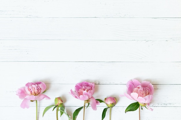 Bordure de belles fleurs de pivoine rose et blanche sur fond de bois clair avec espace de copie