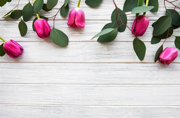 Bordure de belles tulipes