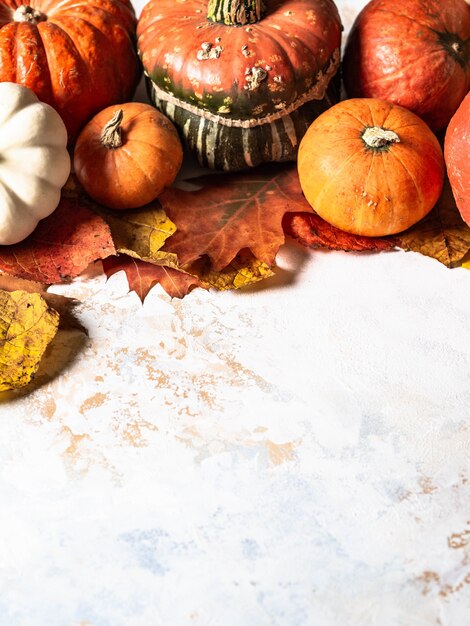 Bordure de citrouilles de différentes tailles et couleurs et différentes feuilles d'automne sèches sur une surface en marbre