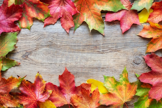 Bordure de feuilles d'érable tombées sur fond de bois Copiez l'espace pour le texte