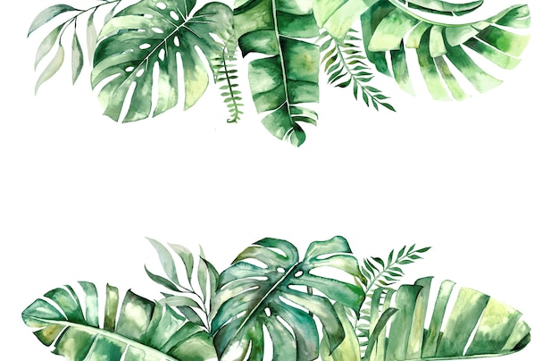 Photo bordure de feuilles tropicales aquarelle