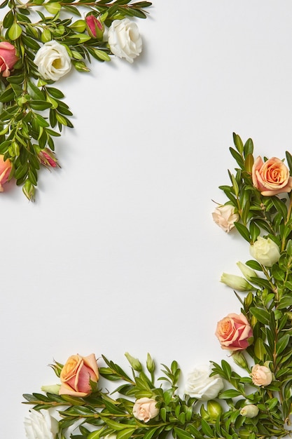 Bordure de feuilles vertes de feuilles persistantes et de fleurs de roses