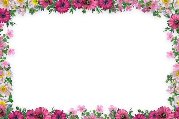 Bordure De Fleurs Fond De Cadre Fond De Fleur Fond De Cadre Floral