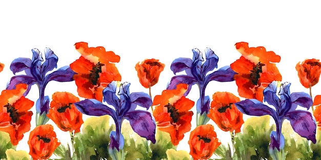 Bordure florale aquarelle transparente horizontale