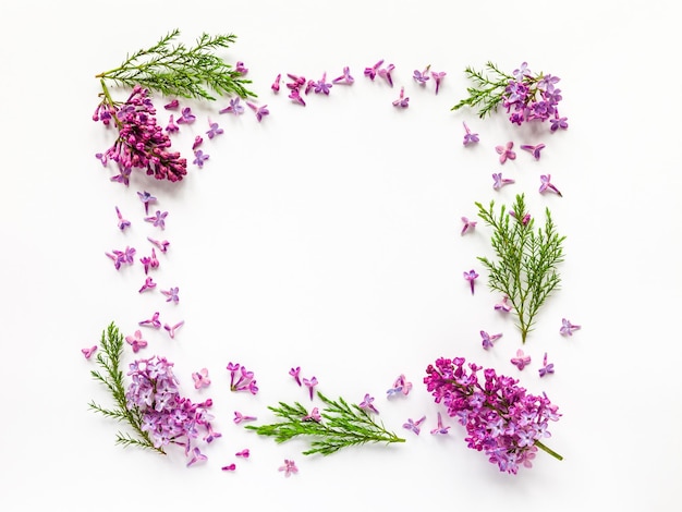 Bordure florale de fleurs lilas fraîches et de brindilles de genévrier sur une vue de dessus à plat blanc