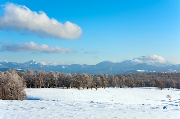 Bordure de forêt de hêtres de montagne d'octobre et première neige d'hiver (mont Goverla au loin, Ukraine)