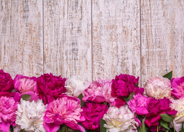 Bordure de pivoines sur un fond en bois avec un espace vide pour le texte