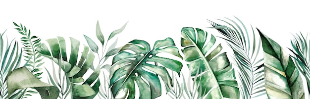 Bordure De Seamles Aquarelle Feuilles Tropicales Isolées