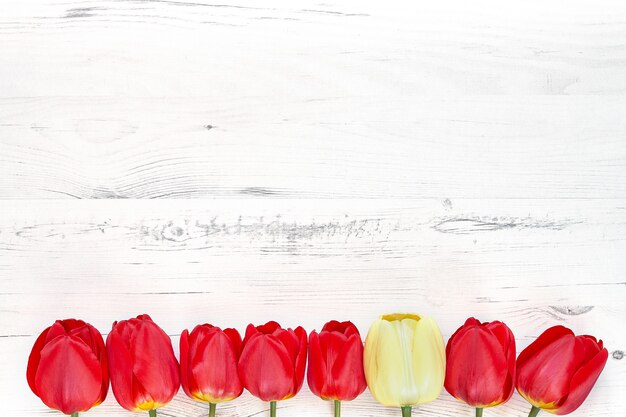 Photo bordure de tulipes colorées sur bois blanc. copiez l'espace, vue de dessus. fête des mères, anniversaire, concept de la saint-valentin.