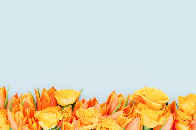 Bordure de tulipes orange et de roses sur fond bleu concept d'anniversaire de la fête des mères saint valentin