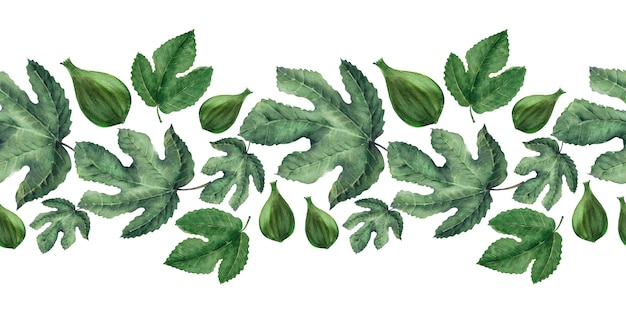 Bordures aquarelles avec des feuilles de figuier et des fruits