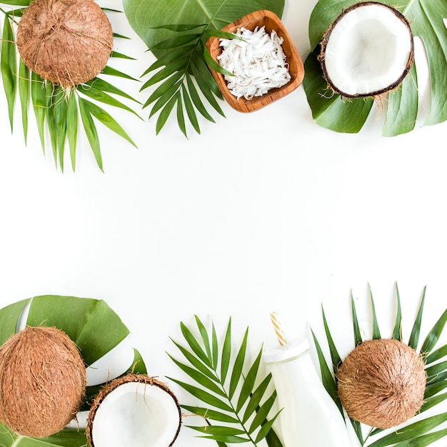 Bordures de cadre de modèle avec des noix de coco et des feuilles de palmier tropical sur fond blanc abstrait tropical b