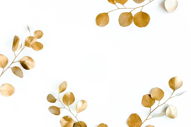 Bordures du cadre de branches d'or feuilles d'eucalyptus sur fond blanc mise en page plate vue de dessus photo de haute qualité