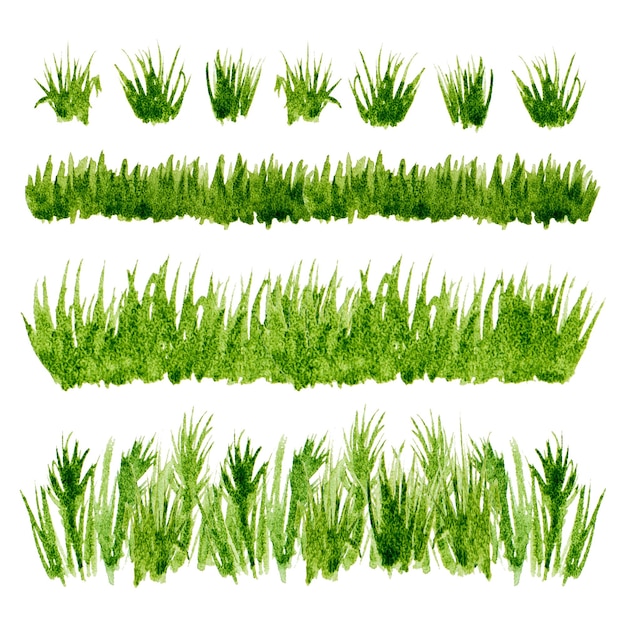 Bordures d'herbe verte aquarelle sur fond blanc