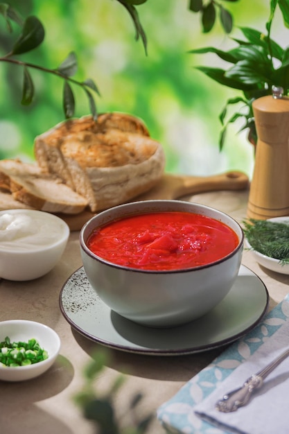 Bortsch rouge ukrainien Soupe ukrainienne traditionnelle