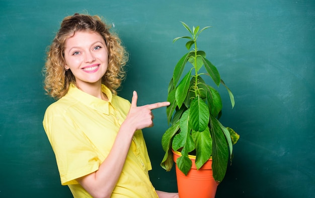 La botanique concerne les plantes, les fleurs et les herbes. Prenez bien soin des plantes. Concept de fleuriste.