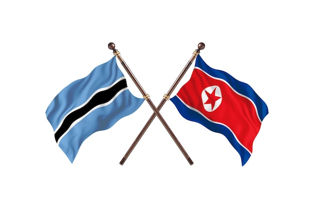 Botswana contre fond de drapeaux de la Corée du Nord