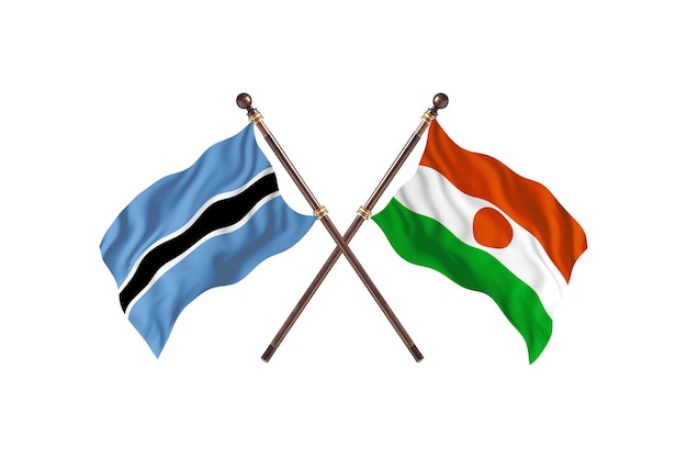 Botswana contre fond de drapeaux du Niger