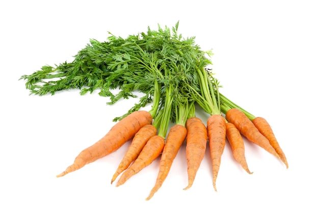 Botte de carottes avec des feuilles
