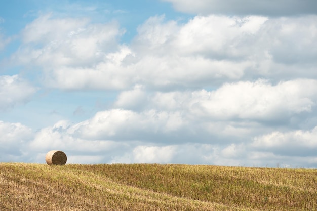 Une botte de foin ronde dans un champ sur fond de ciel bleu et de nuages duveteux La saison des récoltes et des cultures céréalières Beau paysage dans un champ agricole