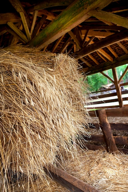 Photo botte de paille sous une cour en bois