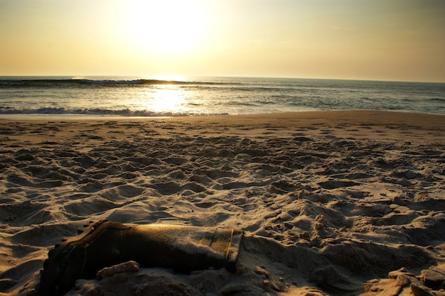 Botte de pêcheur perdue sur la plage