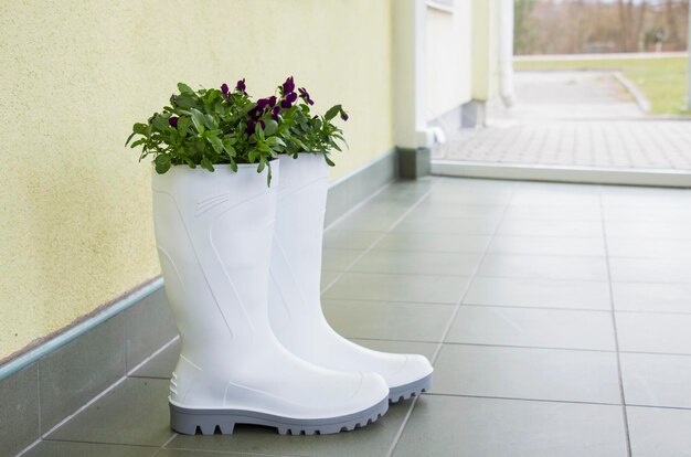 Des bottes en caoutchouc blanc avec une plante sur le sol en pierre